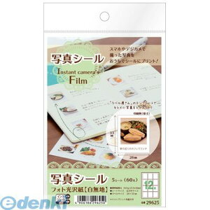 y12/5IIōő100|CgobNzo A-one G[ 29625 ʐ^V[ Instant camerafs Film 4906186296250 tHg X[G IJpʐ^V[ n