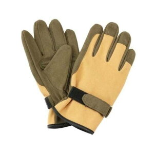 E-Value 4977292649353 gQhɂ |p V[g LTCY STS-L 4977292649353