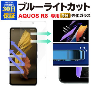y2600~OFFzAQUOS R8 KXtB SH-52D ANIXR8 u[CgJbg یtB KXtB tB aquosr8 tیtB | یV[ gуtB u[Cg 