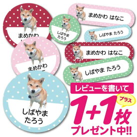 楽天市場 名前シール 防水 かわいいの通販 楽天市場 名前シール 防水 かわいいの通販