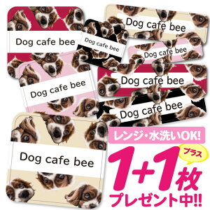 Ȃ܂V[ ϐ ϔM l[V[ OV[ OV[ ۈ牀 ct  w h W | V[ 킢 Ȃ܂V[ O mAC ACsv   A