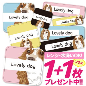 Ȃ܂V[ ϐ ϔM l[V[ OV[ OV[ ۈ牀 ct  w h W | V[ 킢 Ȃ܂V[ O mAC ACsv   A