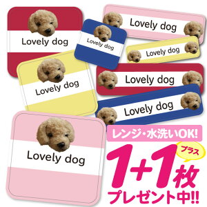 Ȃ܂V[ ϐ ϔM l[V[ OV[ OV[ ۈ牀 ct  w h W | V[ 킢 Ȃ܂V[ O mAC ACsv Aj} 