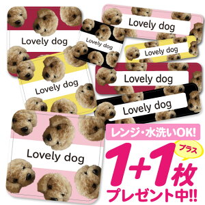 ���Ȃ܂��V�[�� �ϐ� �ϔM �l�[���V�[�� ���O�V�[�� �����O�V�[�� �ۈ牀 �c�t�� �������� ���w���� �h�� �����W | �V�[�� ���킢�� �Ȃ܂��V�[�� ���O �m���A�C���� �A�C�����s�v �A�j�}�� 