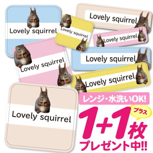 Ȃ܂V[ ϐ ϔM l[V[ OV[ OV[ ۈ牀 ct  w h W | V[ 킢 Ȃ܂V[ O mAC ACsv Aj} 