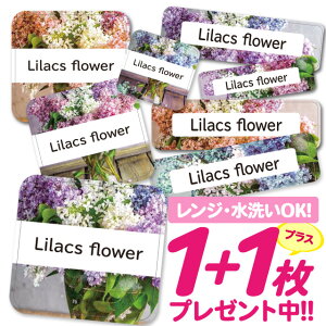 Ȃ܂V[ ϐ ϔM l[V[ OV[ OV[ ۈ牀 ct  w h W | V[ 킢 Ȃ܂V[ O mAC ACsv ԕ t