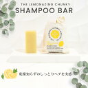 石鹸シャンプー 固形 石鹸 シャンプー バー 天然 頭皮 固形シャンプー シャンプーバー オーガニック せっけんシャンプー 天然シャンプー 固形石鹸シャンプー ナチュラルシャンプー 石鹸バー ナチュラル 洗髪 髪 シャンプー石鹸 赤ちゃん 子供 女性 男性 メンズ ギフト