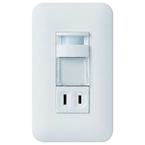 �p�i�\�j�b�N �����ĂɃi�C�g���C�g WTP4065WP [WTP4065WP]