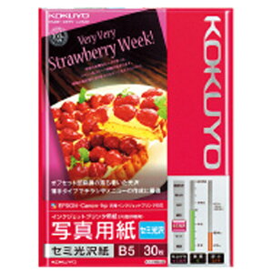 RN IJPpʐ^p(Z~) B5 30 KJJ14B530 [KJJ14B530]ySPSPz