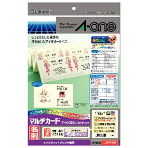 �G�[���� �C���N�W�F�b�g�p���h�p��(A4�A10�ʁA10���A�A�C�{���[) �}���`�J�[�h A-ONE.51129 [51129]�yKNSY�z