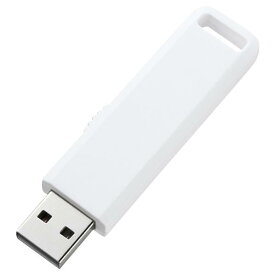 サンワサプライ USBフラッシュメモリ(2GB) ホワイト UFD-SL2GWN [UFDSL2GWN]