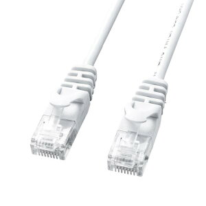 �T�����T�v���C �J�e�S��6�ɍ�LAN�P�[�u��(1m) �z���C�g LA-SL6-01W [LASL601W]