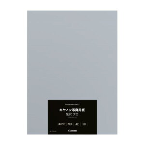 Lm Lmʐ^pEv [v`iO[h] A2 20 PT-201A220 [PT201A220]