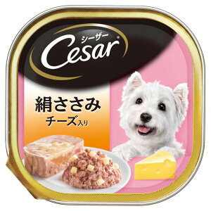 }[XWp~ebh V[U[@݁@`[Y@100g CE12NV-U-LkTT~`-YC100G [CE12NV-U-LkTT~`-YC100G]