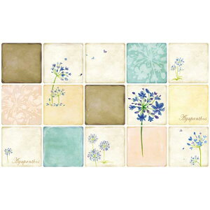 }X^[NX Dream Sticker Lb`V[g 700mm×422mm×0D5mm AGAPANTHUS 3692214781 [3692214781]