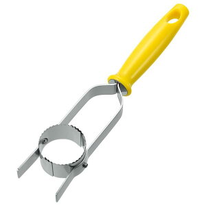 H txW Ƃ낱Jb^[ txWgERVJc^- [txWgERVJc^-]