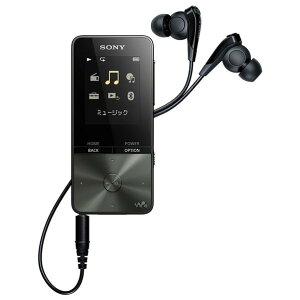 SONY fW^I[fBIvC[(4GB) EH[N}SV[Y ubN NW-S313 B [NWS313B]yRNHz
