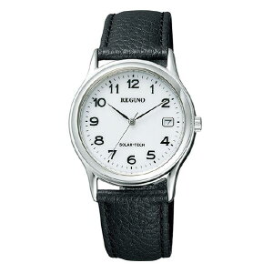 �V�`�Y�� �\�[���[�e�b�N�r���v(�����Y���f��) ���O�m RS25-0033B [RS250033]