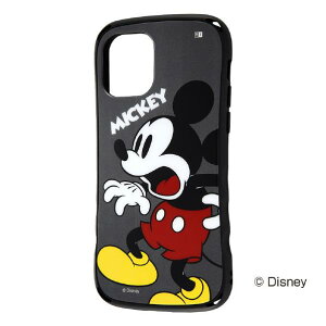 CAEg iPhone 11 PropfBYj[ ϏՌ Curve ~bL[ RT-DP23SC4/MK [RTDP23SC4MK]ySPSPz