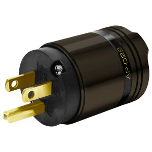 ICf I[fBIpdvO AP-029 [AP029]