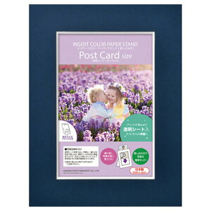 nNo CT[gJ[y[p[X^h |XgJ[hTCY lCr[ MICPS-PCNV [MICPSPCNV]