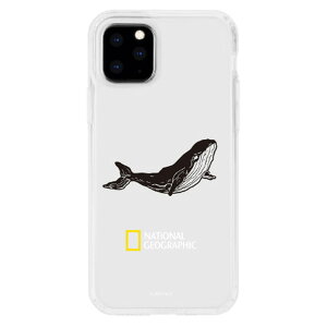 National Geographic iPhone 11 Pro�p�n�[�h�P�[�X INTO THE WILD Jelly Hard Case �z�G�[�� NG17126I58R [NG17126I58R]