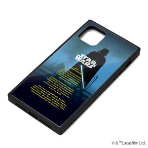 PGA iPhone 11 Pro Max�p�K���X�n�C�u���b�h�P�[�X �_�[�X�E�x�C�_�[ PG-DGT19C31DV [PGDGT19C31DV]