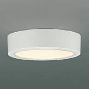 KOIZUMI LED�V�[�����O���C�g AH50425 [AH50425]