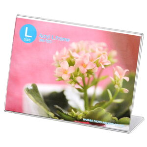 nNo ANLt[ LTCY 1(R) FACL-LY [FACLLY]