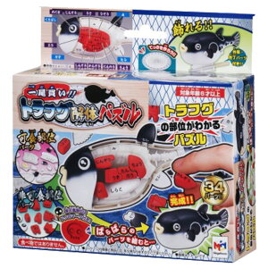 KnEX !!gtÕpY C`rKCgtOJC^CpY [C`rKCgtOJC^CpY]