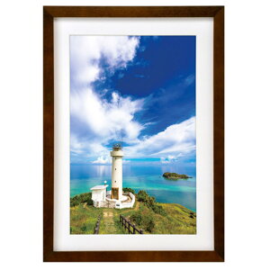 nNo ؐz MM-01 Ch6؃TCY uE FWMM01-BRW6 [FWMM01BRW6]