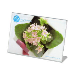 nNo ANLt[ (nKLTCYE1ʁER) FACL-KGY [FACLKGY]