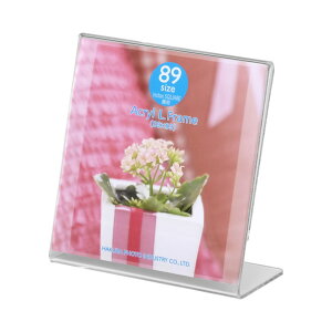 nNo ANLt[ (89TCYE1) FACL-89 [FACL89]