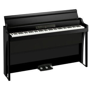 �R���O �d�q�s�A�m BLACK G1B AIR BLACK [G1BAIRBLACK]