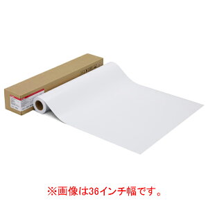 Lm Lmʐ^pE v(v`iO[h) LFM-GPPT/42/300 [LFMGPPT42300]yDCSPz