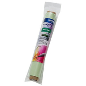 uU[ XeVpV[g CASTCL1 [CASTCL1]