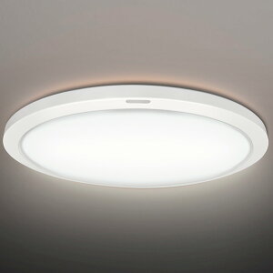 ���� �`12���p�@LED�V�[�����O���C�g NLEH12015A-LC [NLEH12015ALC]