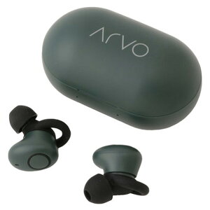 �N�I���e�B�g���X�g�W���p�� Bluetooth Ver5�D0 �C���W�Q�[�^�[�tTrueWireless�X�e���I�C���z���}�C�N �O���[�� QB-082BGN [QB082BGN]