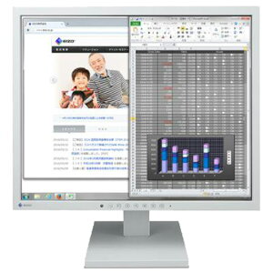 EIZO 19�^�t���f�B�X�v���C �Z���[���O���C S1934-TGY [S1934TGY]�yRNH�z�yARMP�z