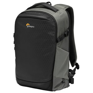Lowepro tbvTCh 300 AW III _[NO[ LP37351-PWW [LP37351PWW]yOCTPz