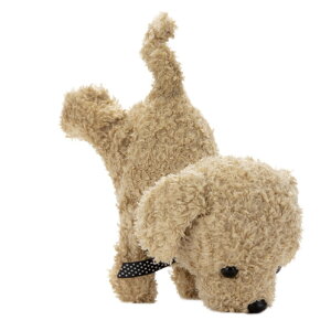 ZKtFCu RR AvRbg RRTJ_`VeAvRcg [RRTJ_`VeAvRcg]