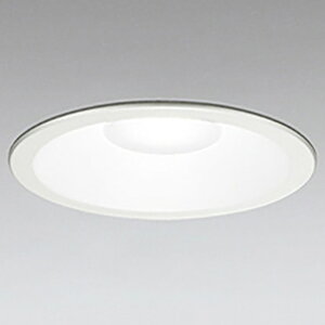 �I�[�f���b�N LED�_�E�����C�g OD261769R [OD261769R]