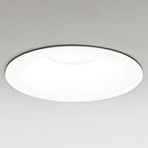 �I�[�f���b�N LED�_�E�����C�g OD261892R [OD261892R]