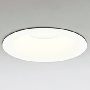 �I�[�f���b�N LED�_�E�����C�g OD261894R [OD261894R]