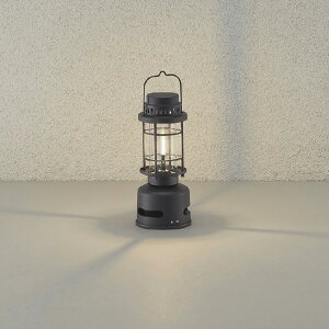 _CREfL BluetoothΉXs[J[ڃ^ ^  DXL-81429C [DXL81429C]