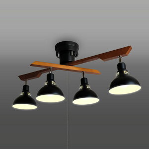 ^LY~ LEDbhX|bg ubN GL4020RSBK [GL4020RSBK]yBLKPz