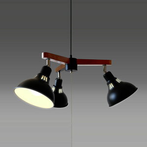 ^LY~ LEDVfA ubN GL3065CHBK [GL3065CHBK]yBLKPz