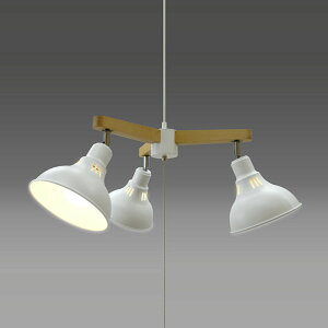 ^LY~ LEDVfA zCg GL3065CHWH [GL3065CHWH]yBLKPz