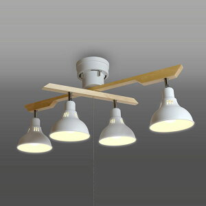 ^LY~ LEDbhX|bg zCg GL4020RSWH [GL4020RSWH]yBLKPz