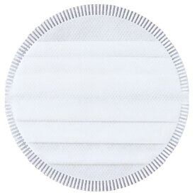 アイリスオーヤマ 充電式サイクロンスティッククリーナー用 別売排気フィルター CFT102 [CFT102]【SBTK】